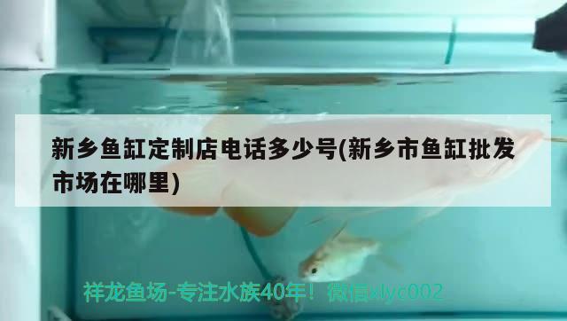 新乡鱼缸定制店电话多少号(新乡市鱼缸批发市场在哪里) 祥龙水族医院