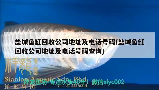 盐城鱼缸回收公司地址及电话号码(盐城鱼缸回收公司地址及电话号码查询) 锦鲤池鱼池建设