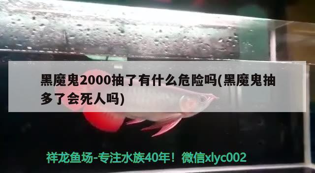 黑魔鬼2000抽了有什么危险吗(黑魔鬼抽多了会死人吗)