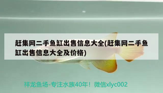 赶集网二手鱼缸出售信息大全(赶集网二手鱼缸出售信息大全及价格)