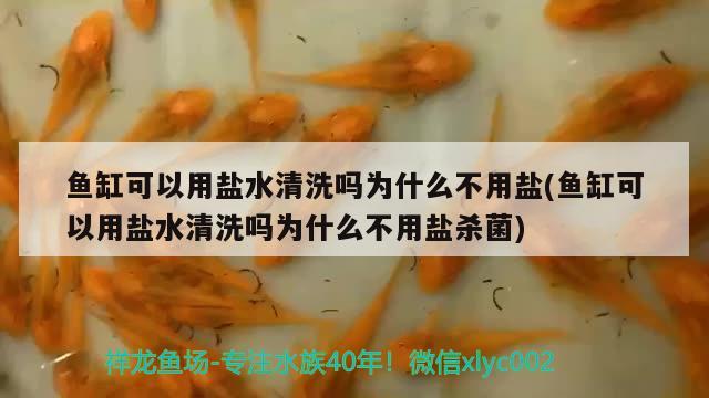 鱼缸可以用盐水清洗吗为什么不用盐(鱼缸可以用盐水清洗吗为什么不用盐杀菌)