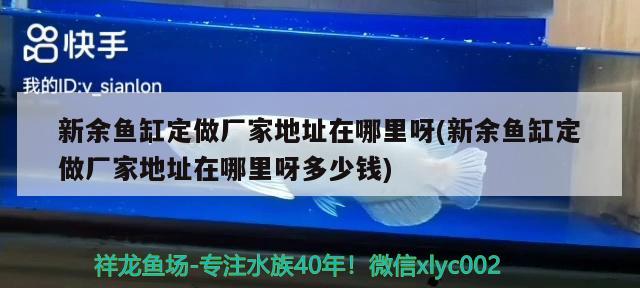 新余鱼缸定做厂家地址在哪里呀(新余鱼缸定做厂家地址在哪里呀多少钱)