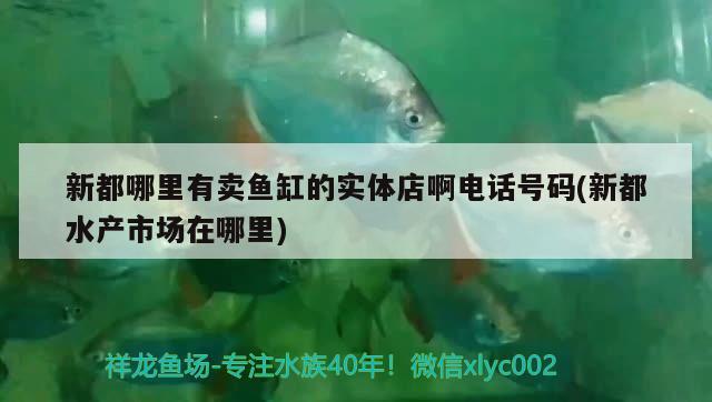 新都哪里有卖鱼缸的实体店啊电话号码(新都水产市场在哪里) 孵化器