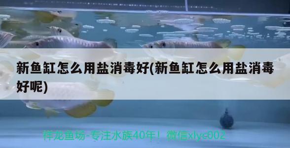 新鱼缸怎么用盐消毒好(新鱼缸怎么用盐消毒好呢) 2024第28届中国国际宠物水族展览会CIPS（长城宠物展2024 CIPS）