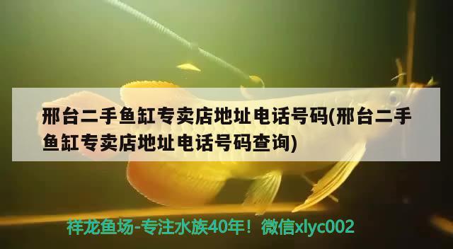 邢台二手鱼缸专卖店地址电话号码(邢台二手鱼缸专卖店地址电话号码查询)