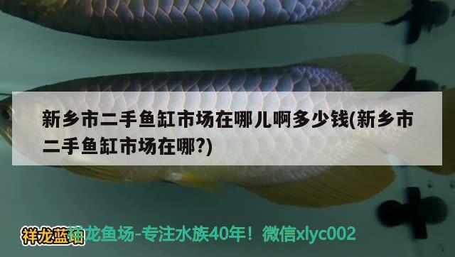 新乡市二手鱼缸市场在哪儿啊多少钱(新乡市二手鱼缸市场在哪?)