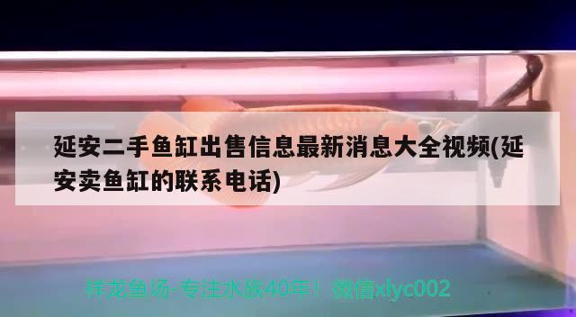 延安二手鱼缸出售信息最新消息大全视频(延安卖鱼缸的联系电话)