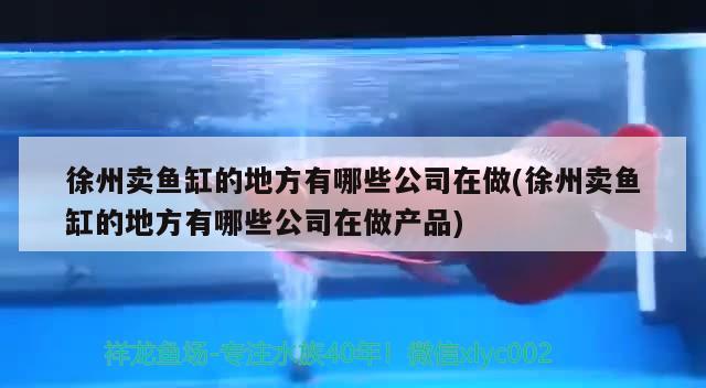 徐州卖鱼缸的地方有哪些公司在做(徐州卖鱼缸的地方有哪些公司在做产品)