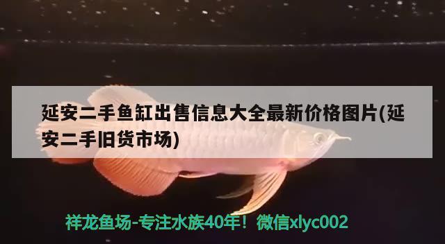 延安二手鱼缸出售信息大全最新价格图片(延安二手旧货市场) 马拉莫宝石鱼