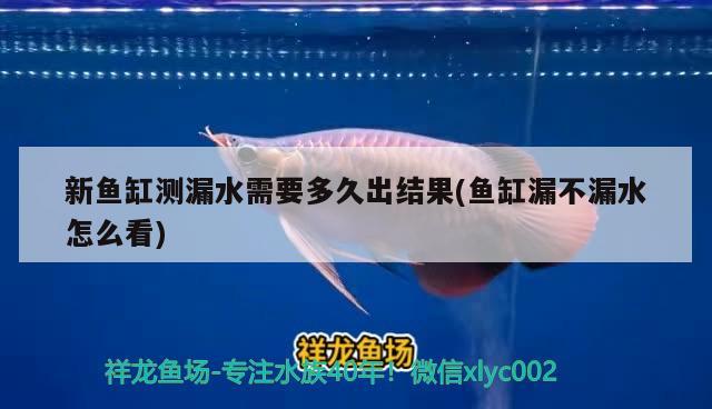 新鱼缸测漏水需要多久出结果(鱼缸漏不漏水怎么看)