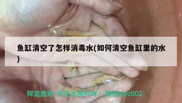 鱼缸清空了怎样消毒水(如何清空鱼缸里的水) iwish爱唯希品牌鱼缸