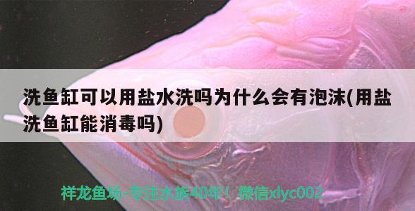 洗鱼缸可以用盐水洗吗为什么会有泡沫(用盐洗鱼缸能消毒吗) 孵化器