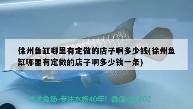 徐州鱼缸哪里有定做的店子啊多少钱(徐州鱼缸哪里有定做的店子啊多少钱一条)