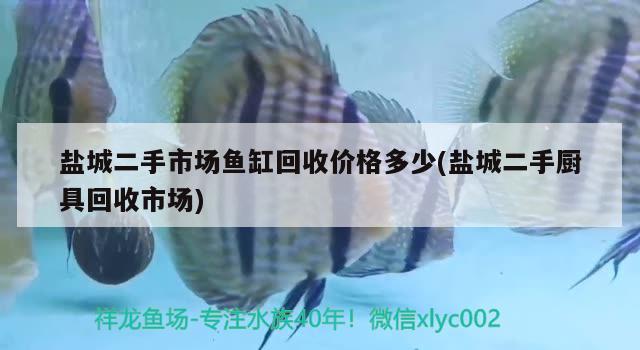 盐城二手市场鱼缸回收价格多少(盐城二手厨具回收市场) 养鱼知识