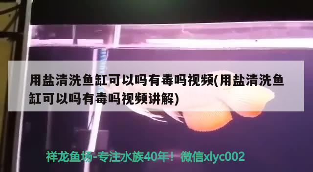 用盐清洗鱼缸可以吗有毒吗视频(用盐清洗鱼缸可以吗有毒吗视频讲解)