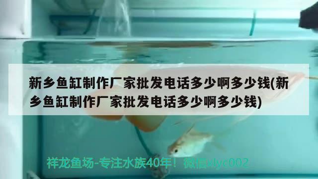 新乡鱼缸制作厂家批发电话多少啊多少钱(新乡鱼缸制作厂家批发电话多少啊多少钱) 野生地图鱼