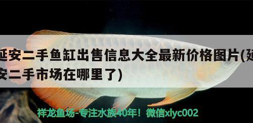 延安二手鱼缸出售信息大全最新价格图片(延安二手市场在哪里了)