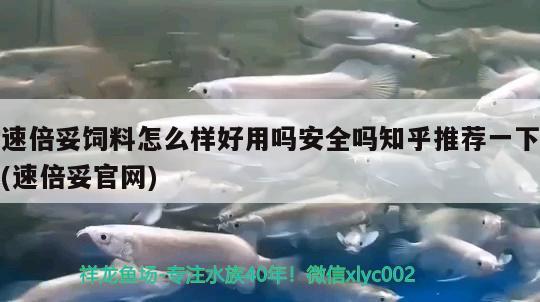 速倍妥饲料怎么样好用吗安全吗知乎推荐一下(速倍妥官网)