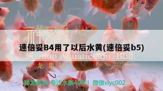 速倍妥B4用了以后水黄(速倍妥b5)