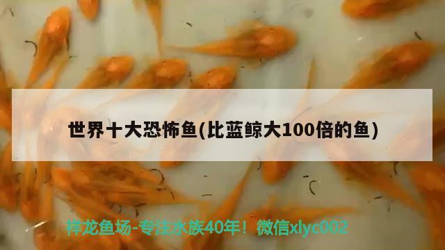 世界十大恐怖鱼(比蓝鲸大100倍的鱼)