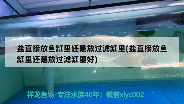 盐直接放鱼缸里还是放过滤缸里(盐直接放鱼缸里还是放过滤缸里好)