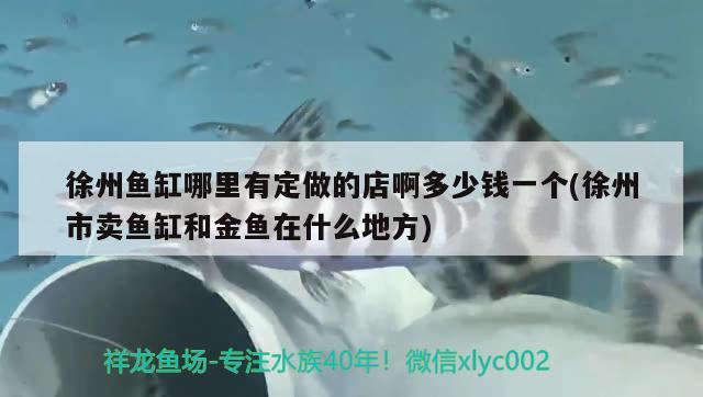 徐州鱼缸哪里有定做的店啊多少钱一个(徐州市卖鱼缸和金鱼在什么地方)