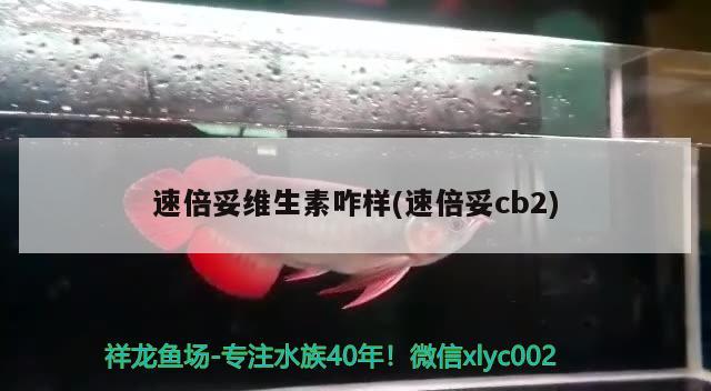 速倍妥维生素咋样(速倍妥cb2)