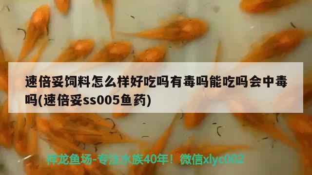 速倍妥饲料怎么样好吃吗有毒吗能吃吗会中毒吗(速倍妥ss005鱼药)