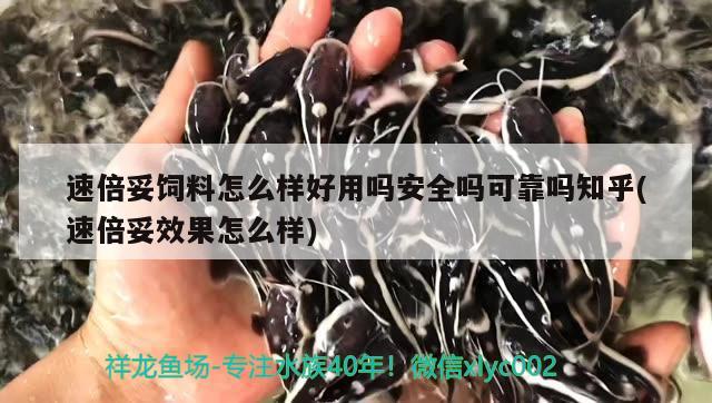 速倍妥饲料怎么样好用吗安全吗可靠吗知乎(速倍妥效果怎么样)