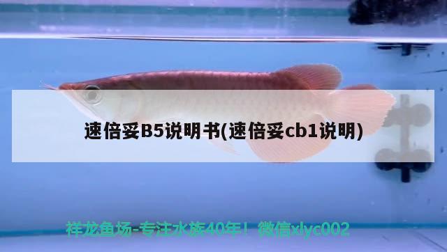 速倍妥B5说明书(速倍妥cb1说明) 速倍妥