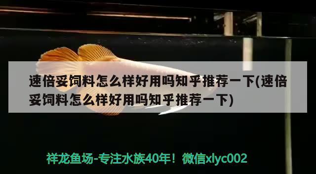 速倍妥饲料怎么样好用吗知乎推荐一下(速倍妥饲料怎么样好用吗知乎推荐一下) 速倍妥