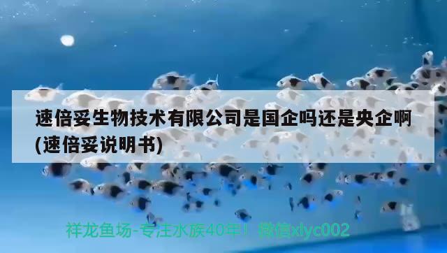 速倍妥生物技术有限公司是国企吗还是央企啊(速倍妥说明书)