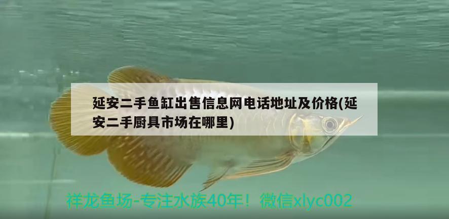 延安二手鱼缸出售信息网电话地址及价格(延安二手厨具市场在哪里)