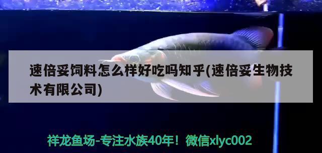 速倍妥饲料怎么样好吃吗知乎(速倍妥生物技术有限公司)