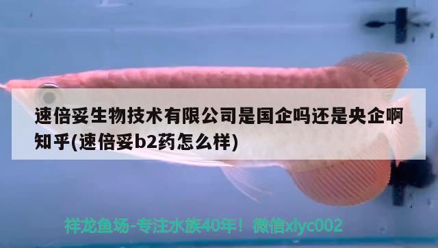 速倍妥生物技术有限公司是国企吗还是央企啊知乎(速倍妥b2药怎么样)