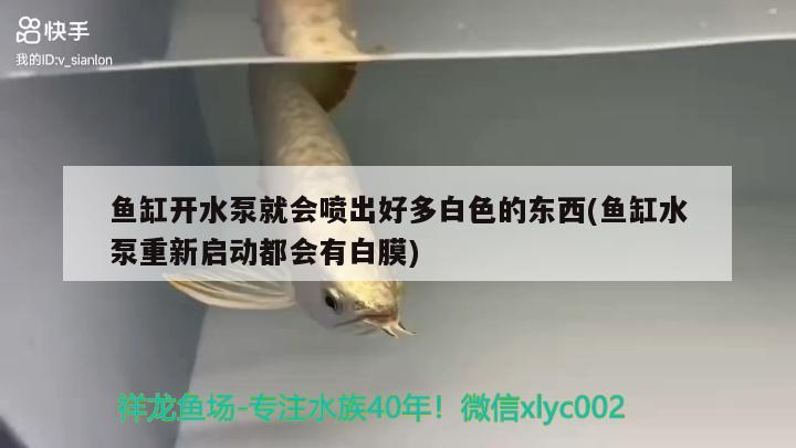 鱼缸开水泵就会喷出好多白色的东西(鱼缸水泵重新启动都会有白膜)