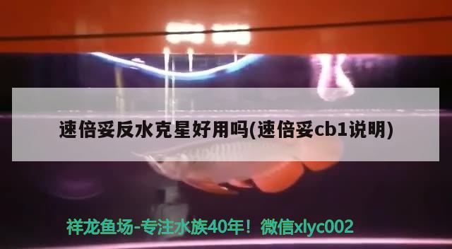 速倍妥反水克星好用吗(速倍妥cb1说明)