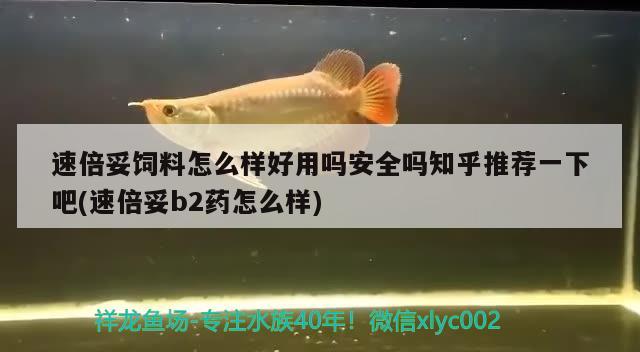 速倍妥饲料怎么样好用吗安全吗知乎推荐一下吧(速倍妥b2药怎么样)