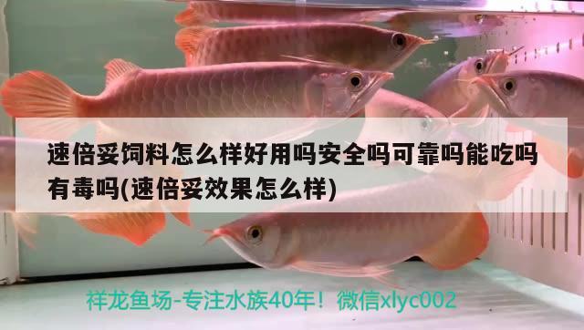 速倍妥饲料怎么样好用吗安全吗可靠吗能吃吗有毒吗(速倍妥效果怎么样) 速倍妥