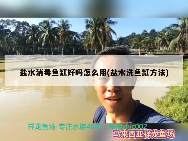 盐水消毒鱼缸好吗怎么用(盐水洗鱼缸方法)