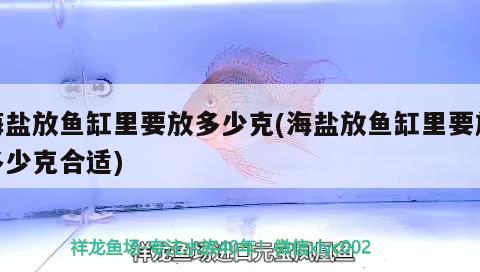 海盐放鱼缸里要放多少克(海盐放鱼缸里要放多少克合适)