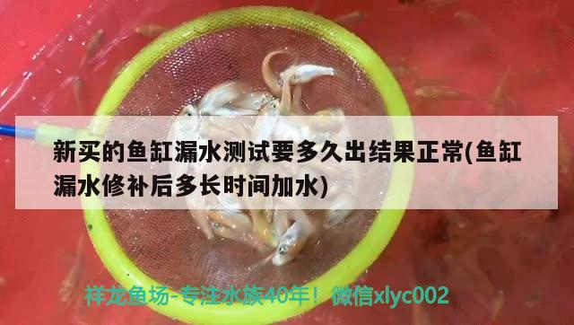 新买的鱼缸漏水测试要多久出结果正常(鱼缸漏水修补后多长时间加水)