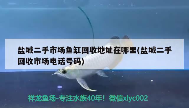 盐城二手市场鱼缸回收地址在哪里(盐城二手回收市场电话号码) 申古银版鱼