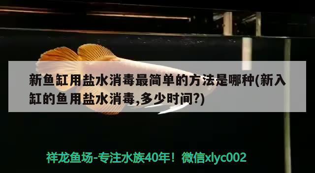 新鱼缸用盐水消毒最简单的方法是哪种(新入缸的鱼用盐水消毒,多少时间?)