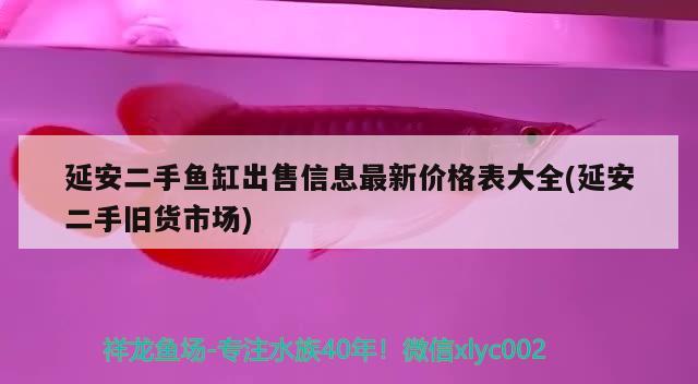 延安二手鱼缸出售信息最新价格表大全(延安二手旧货市场) 虎纹银版鱼