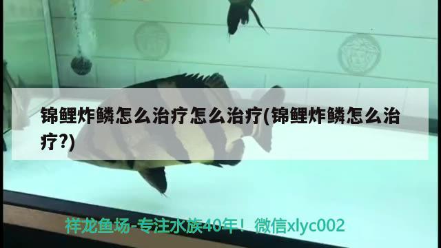 锦鲤炸鳞怎么治疗怎么治疗(锦鲤炸鳞怎么治疗?)