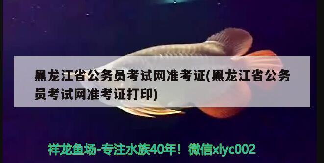 黑龙江省公务员考试网准考证(黑龙江省公务员考试网准考证打印)