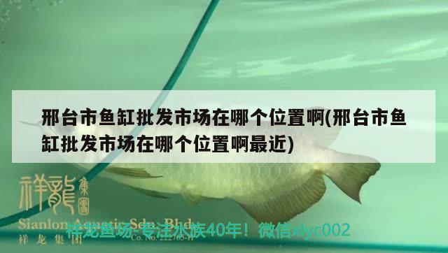 邢台市鱼缸批发市场在哪个位置啊(邢台市鱼缸批发市场在哪个位置啊最近)