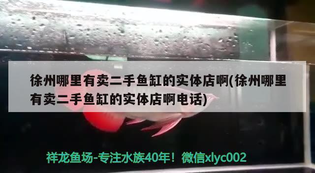 徐州哪里有卖二手鱼缸的实体店啊(徐州哪里有卖二手鱼缸的实体店啊电话) 鸭嘴鲨鱼