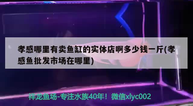 孝感哪里有卖鱼缸的实体店啊多少钱一斤(孝感鱼批发市场在哪里) 水温计